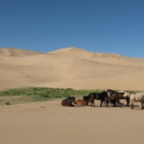Gesichter der Mongolei
